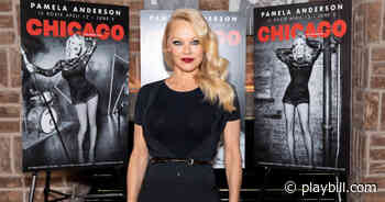 Watch Pamela Anderson Chat About Upcoming Broadway Debut in Chicago on The View - Playbill.com