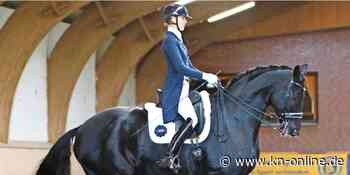 ​Dressurturnier Schenefeld: Dressur-Opening auf Reitanlage Klövensteen - Kieler Nachrichten