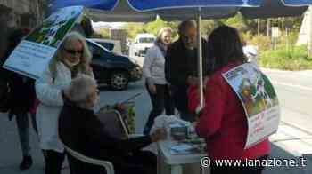 Cava Fornace, comitati all’attacco "Stop al mostro, urge la bonifica" - LA NAZIONE