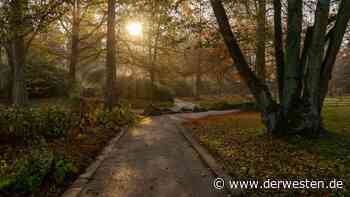 Grugapark Essen öffnet Attraktion – HIER gilt weiter Maskenpflicht - DER WESTEN
