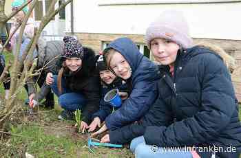 Lernen, wie das Essen wächst - inFranken.de