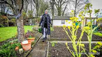 In Essen im Trend: Kleingärtnern wie zu Großmutters Zeiten - WAZ News