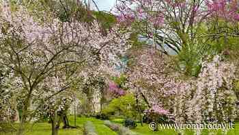 Gli eventi del weekend di Pasqua e Pasquetta: cosa fare a Roma da sabato 16 a lunedì 18 aprile