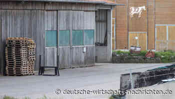 170 Rinder verhungert – Landwirt aus Mittelfranken vor Gericht