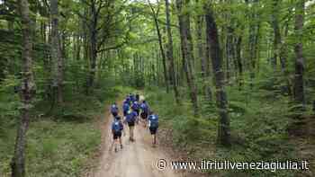 Al Cinema Sociale di Gemona un mese all'insegna del documentario - ilfriuliveneziagiulia.it
