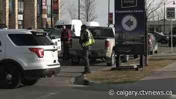 Mounties and Calgary police corral runaway driver of stolen F-150 - CTV News Calgary