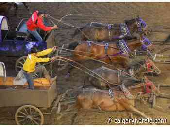 Chuckwagon drivers eager for sponsorships at canvas auction as Rangeland Derby returns after two years - Calgary Herald