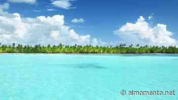Playas del este estarán libres de sargazo en Semana Santa - Almomento.net