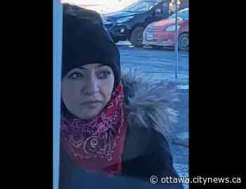 Ottawa police searching for suspect in Gloucester commercial thefts and assault - Ottawa.CityNews.ca