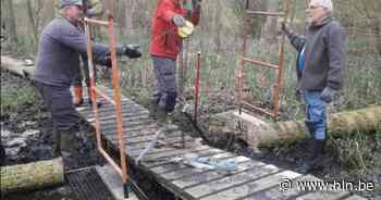 Natuurpunt herstelt vlonderpad in Niels Broek | Niel | hln.be - Het Laatste Nieuws