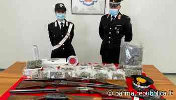 Armi e droga in casa: arrestato a Parma un 62enne - La Repubblica