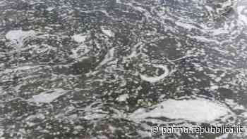 Schiuma nel torrente Parma, Arpae rassicura: è un fenomeno naturale - La Repubblica
