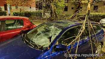 Raffiche di vento a 100km/h: danni a Parma e in provincia - foto - La Repubblica