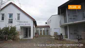 Augsburg/Aichach-Friedberg: Der Augsburger Tierschutzverein übernimmt das Tierheim Lechleite | Friedberger Allgemeine - Augsburger Allgemeine