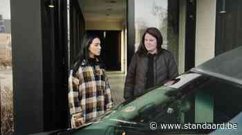 Wie springt als een mol, betaalt al snel de tol - De Standaard