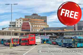 Kids under 11 can travel on County Durham buses for FREE this Easter - here's how - The Northern Echo