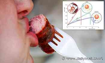 Scientists reveal what gives sausages their 'crunch' - and it could lead to better vegan options