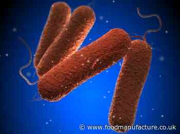 Salmonella outbreak: potential link to raw materials