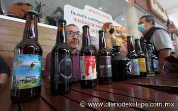 ¿Te gusta la cerveza artesanal? La podrás degustar en festival de Coatepec - Diario de Xalapa