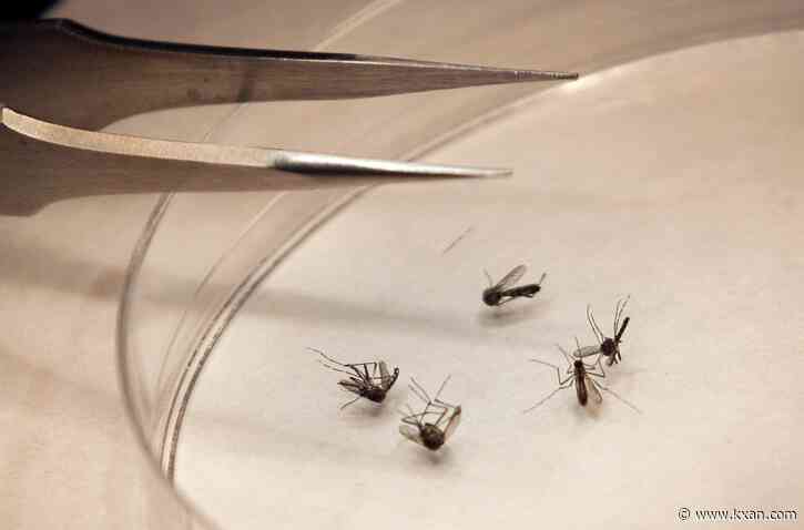 Texas reports 1st West Nile disease case in 2022