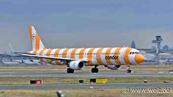 Genialer Coup oder einfach hässlich? Condor überrascht mit neuem Flugzeug-Design