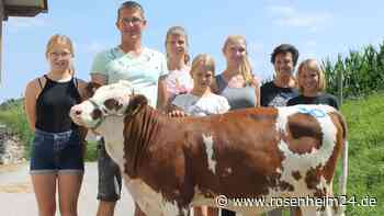 Gute Erlöse bei den Wasserburger Viehzüchtern – warum sie trotzdem in großer Sorge sind