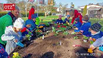 Kleine Strolche aus Bucha sind Insektenfreunde