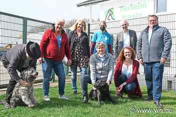 Kein Platz  für  gerettete  Haustiere aus der Ukraine