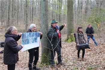 Sinzig: Stadt informierte über mögliches Windkraftprojekt auf dem Harterscheid - Blick aktuell