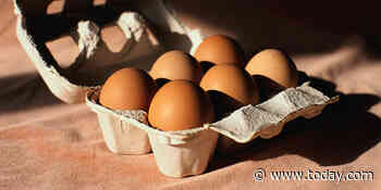 Egg prices rise to historic levels due to highly infectious bird flu