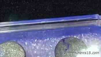 Moon Dust Collected by Neil Armstrong During Apollo 11 May Fetch Rs 9 Crore at Auction - News18