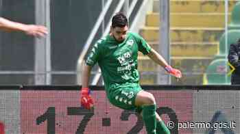 Palermo, intervento chirurgico per Pelagotti: contro il Bari pronto Massolo - Giornale di Sicilia