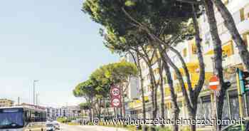 Bari, morosi case popolari: in arrivo 6mila diffide - La Gazzetta del Mezzogiorno