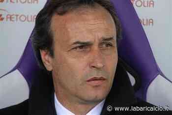 Marino: "Bari, campionato importante. Polito bravo nelle scelte" - La Bari Calcio