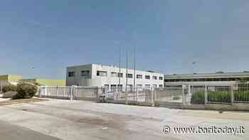 Ex Om Carrelli, la Giunta regionale della Puglia approva il progetto definitivo di Selectika - BariToday