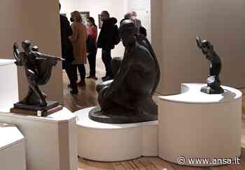 Da Calabria due opere Drei per mostra Federigo Tozzi a Siena - Agenzia ANSA