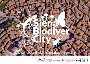 Al via “Siena BiodiverCity”, il progetto del Museo di Storia Naturale - Il Cittadino on line