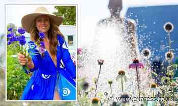 'Couldn’t believe how my plants thrived': Gardener shocked after new watering tactic works - Express