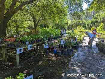 Plant sale every local gardener should check out - WJXT News4JAX