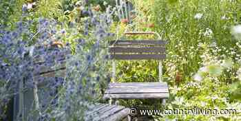 6 Low-Maintenance Garden Hacks For Every Gardener - Country Living