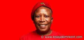 The EFF to visit family of murdered 43-year-old Zimbabwean gardener, Mhbodazwe Elvis Nyathi, after being murdered and set alight in Diepsloot, Johannesburg - KossyDerrickEnt
