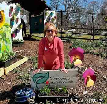 Master Gardener: In conversation with Dunwoody Community Garden's Cyndi McGill - Reporter Newspapers