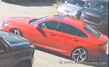 Police release identity of man murdered in Maple Ridge – Saanich News - Saanich News