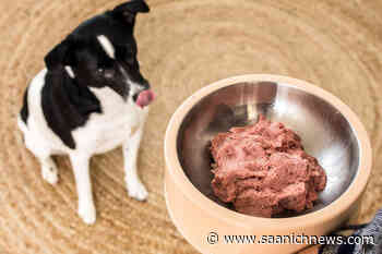 Raw pet food, how does it measure up? - Saanich News