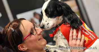 Lifesaver police dog to receive canine OBE after well-deserved retirement - Grimsby Live