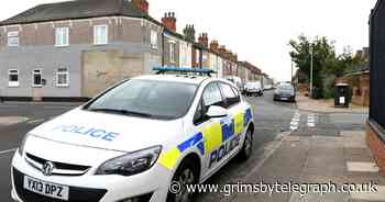 Woman's face bitten by dog during walk on Grimsby street - Grimsby Live