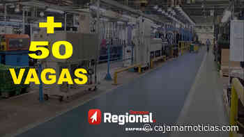 Empresa na Raposo abre 50 vagas para Taboão da Serra, Cotia e região - Destaque Regional