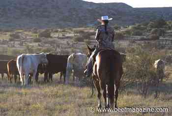 Burger King, Cargill partner on climate change