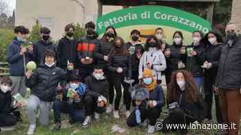 Scuola Secondaria di primo grado Istituto comprensivo "Sacchetti" San Miniato - LA NAZIONE