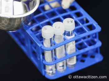 COVID-19: What you need to know on Tuesday, April 12